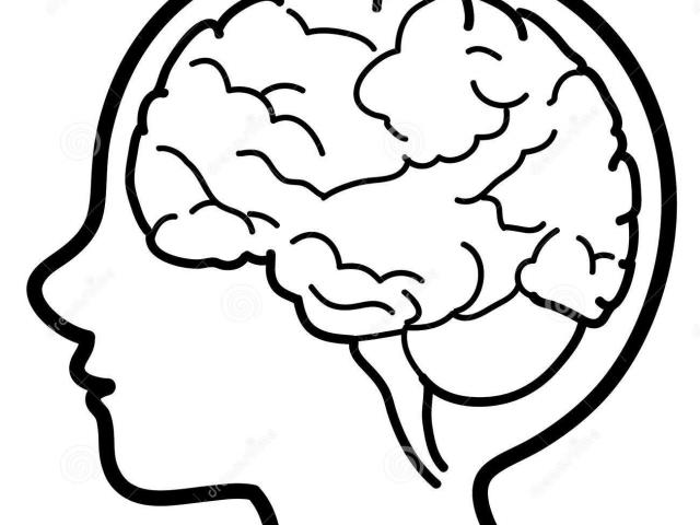 mind clipart brain outline