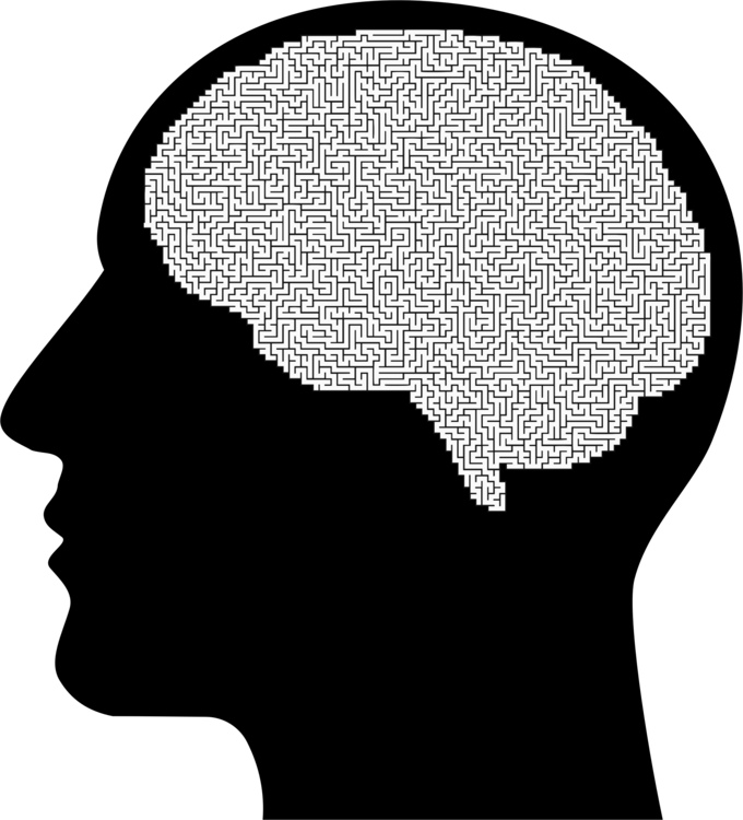 Human behavior head silhouette. Mind clipart one