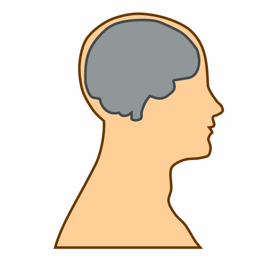 Man head png free. Mind clipart silhouette