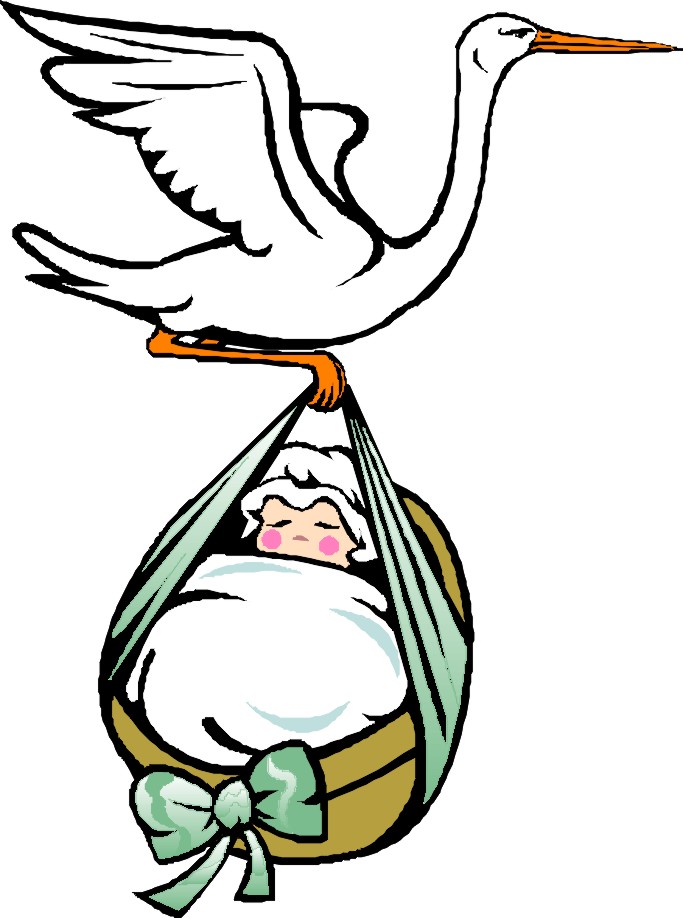 stork clipart maternity