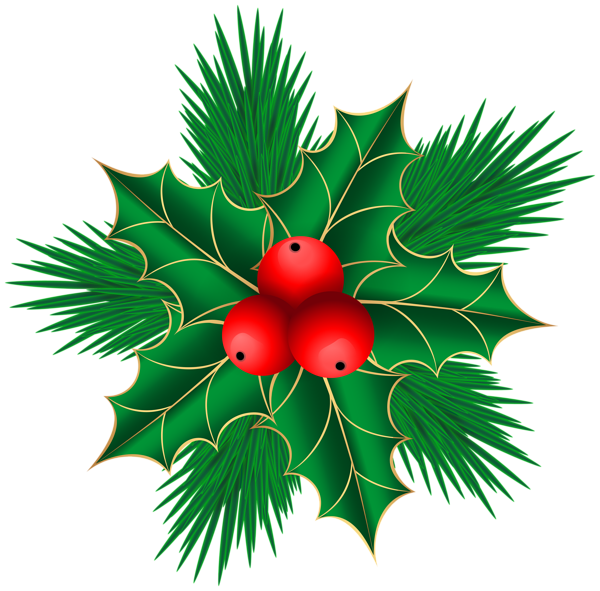 Gallery christmas png . Mistletoe clipart branch