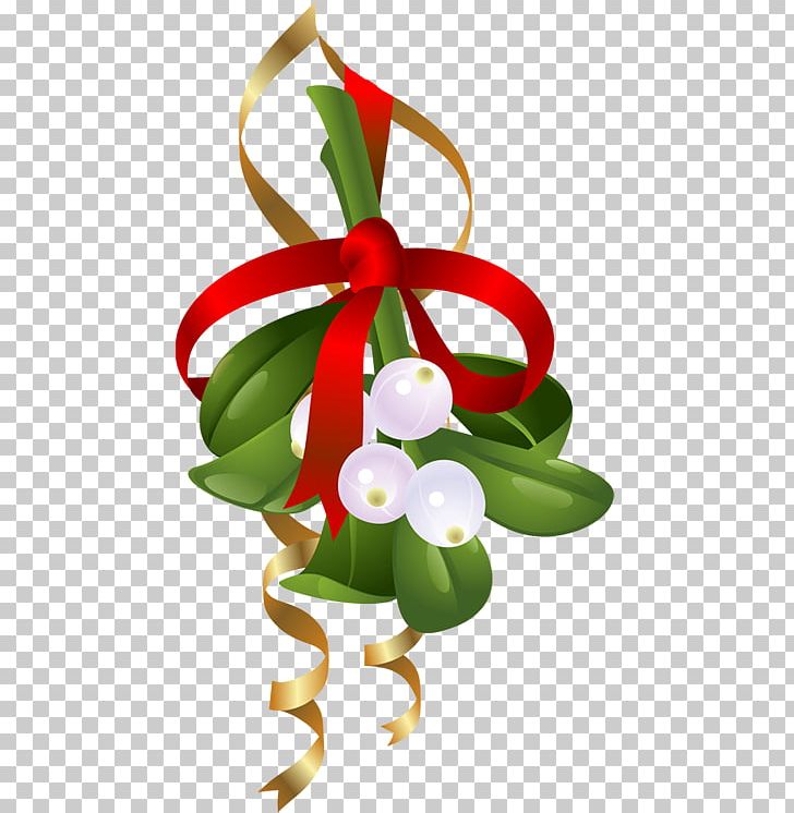 Mistletoe clipart decoration. Png cartoon christmas 