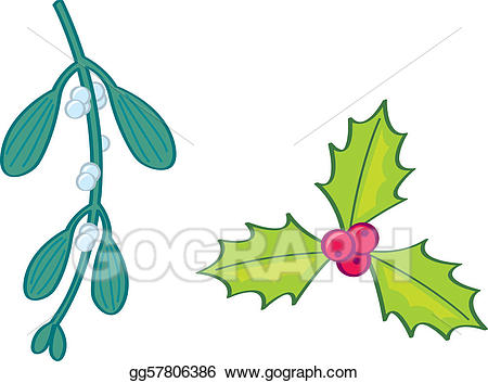 Mistletoe clipart holly sprig. Vector illustration and eps