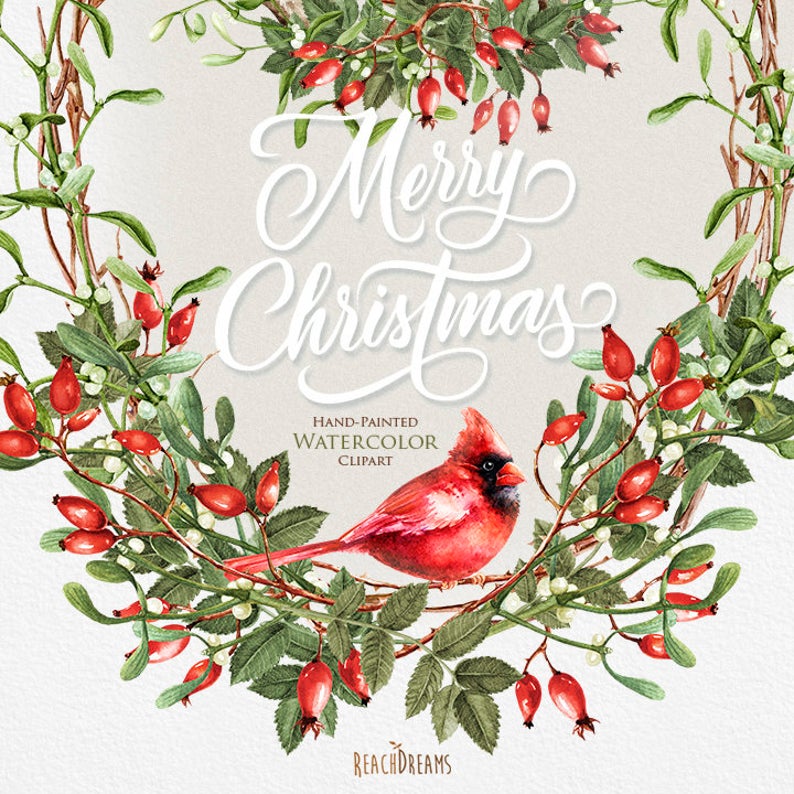 Watercolor briar red cardinal. Mistletoe clipart merry christmas