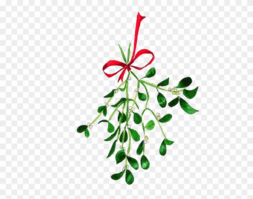 Mistletoe clipart painting. Texture ink 