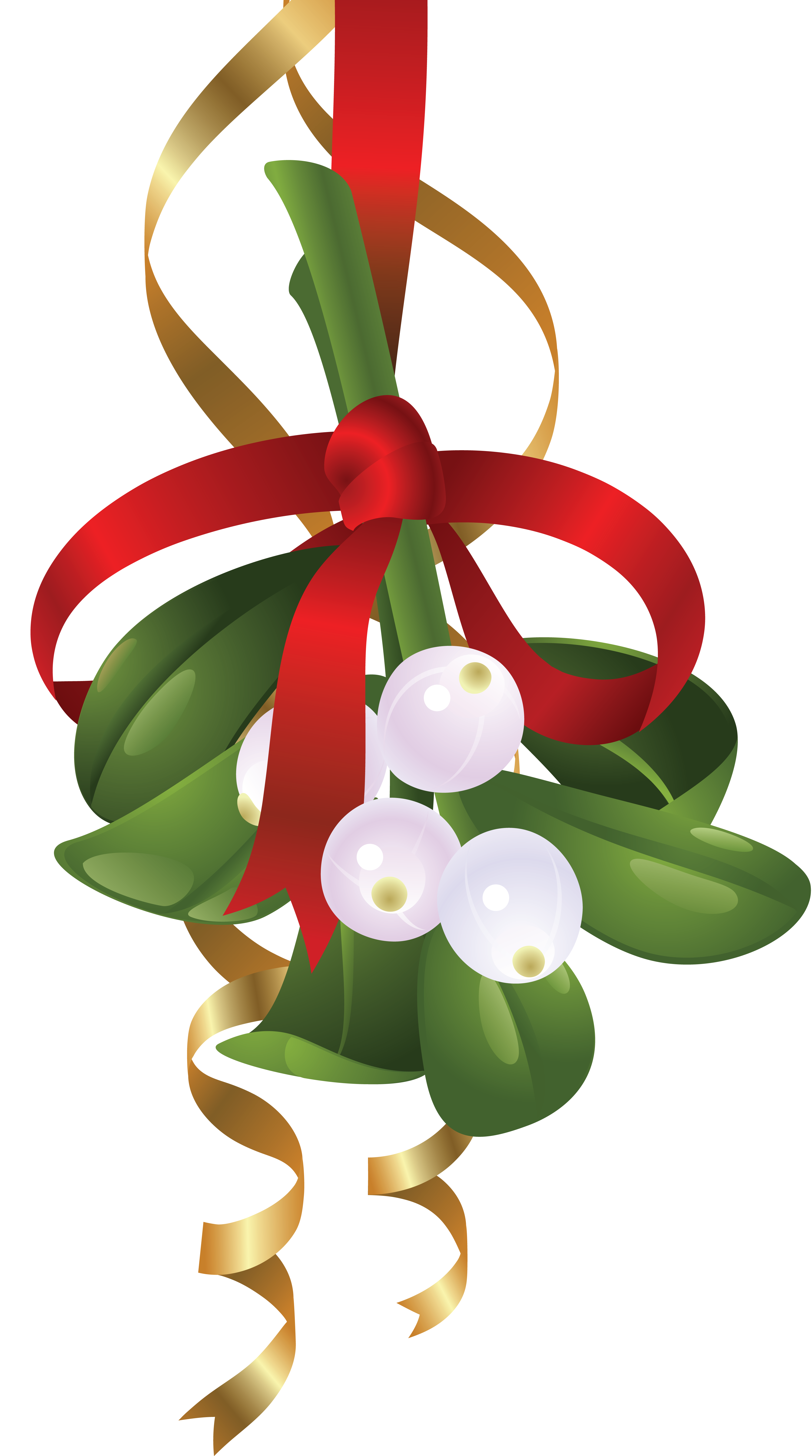 mistletoe clipart ribbon