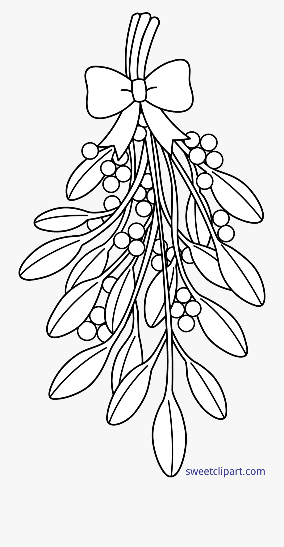 mistletoe clipart sketches
