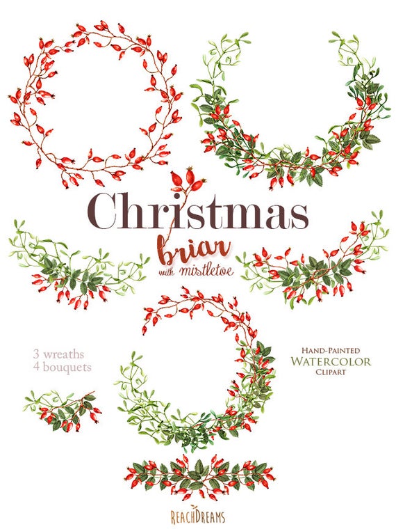 Christmas briar holiday hand. Mistletoe clipart watercolor