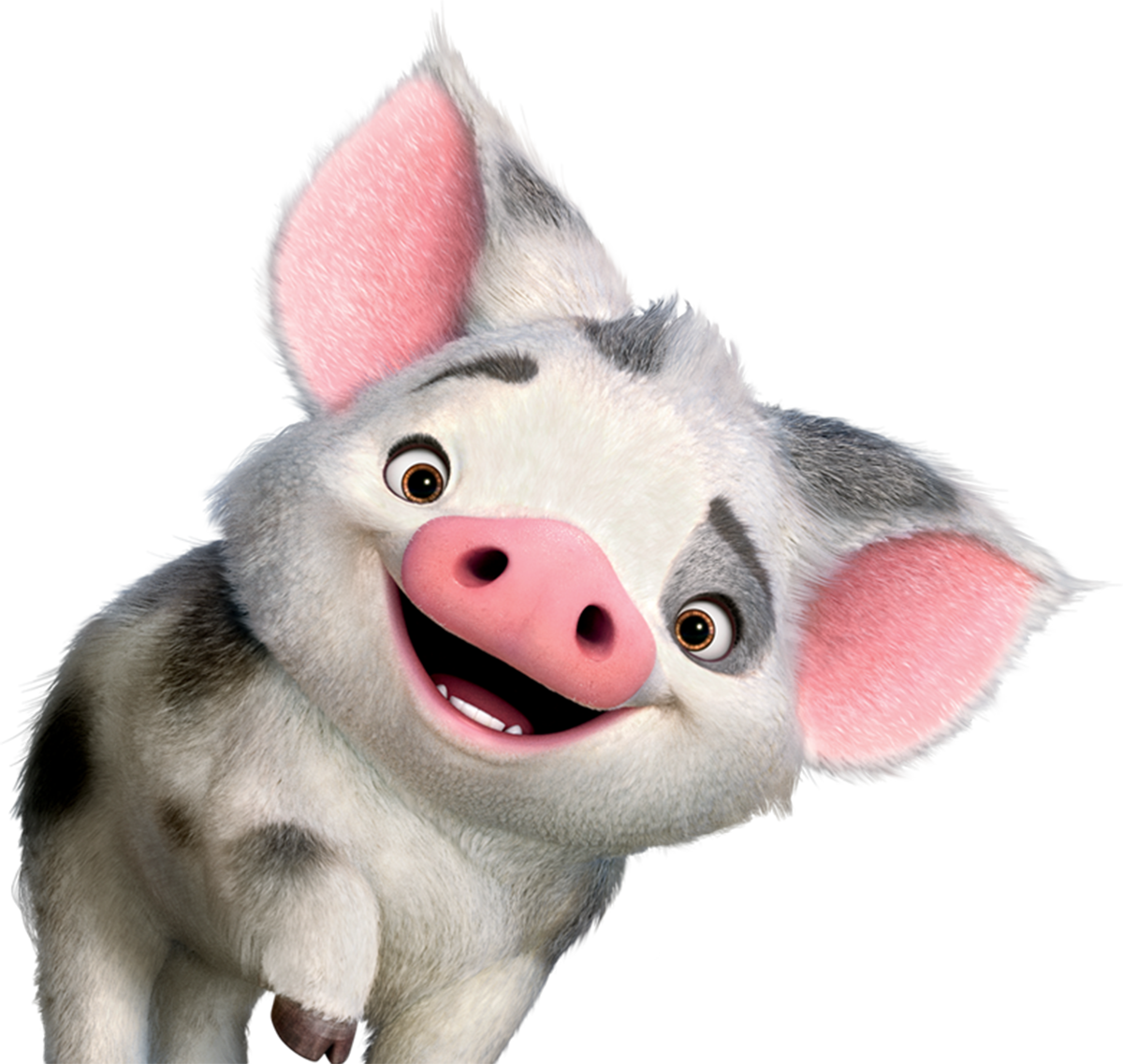 Moana clipart character animal disney. Afbeeldingsresultaat voor pua pinterest
