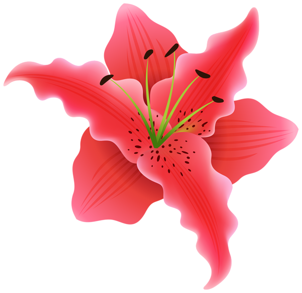 Gallery flowers png . Moana clipart exotic flower