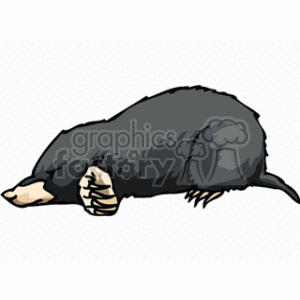 mole clipart