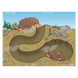 mole clipart burrow
