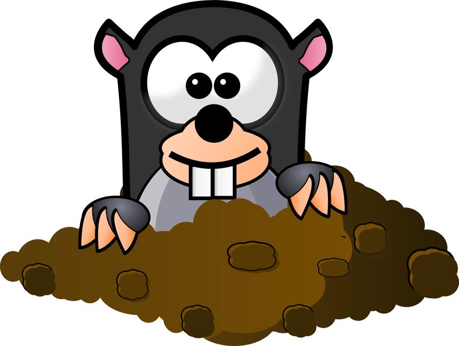 mole clipart drawing