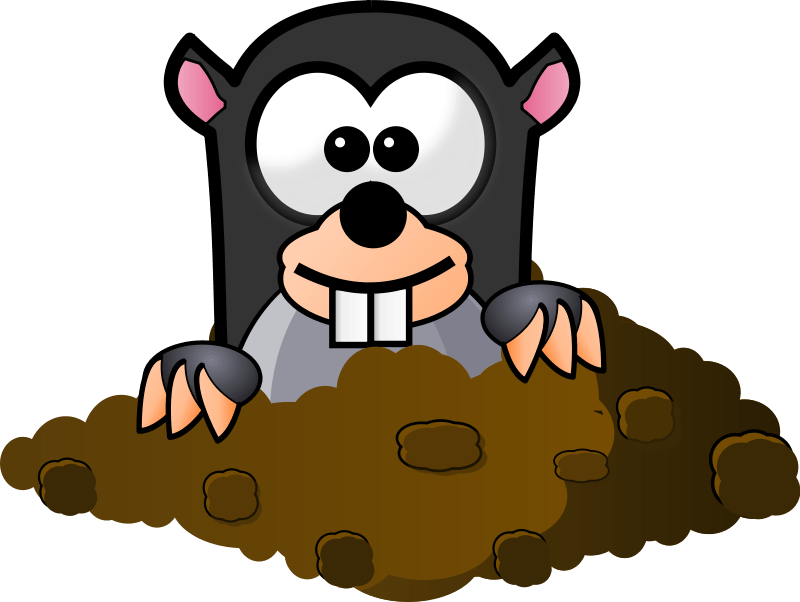 mole clipart mole animal