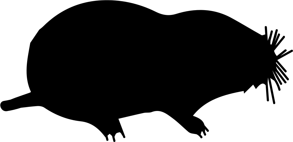 mole clipart mole animal