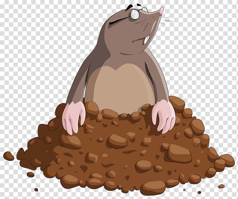 mole clipart mole animal
