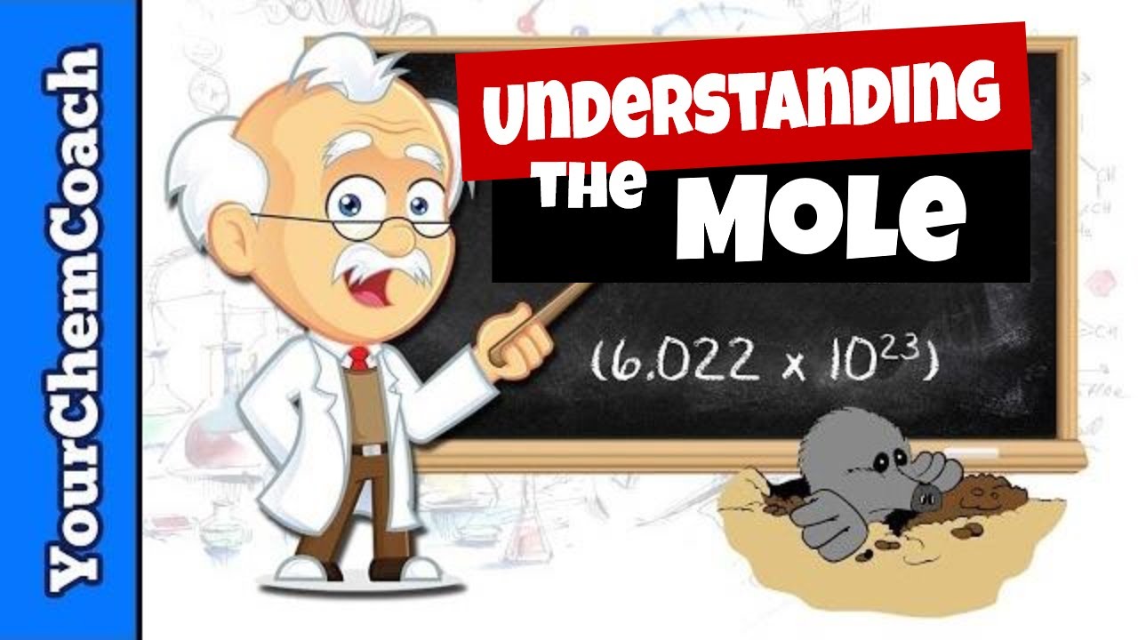 mole clipart stoichiometry