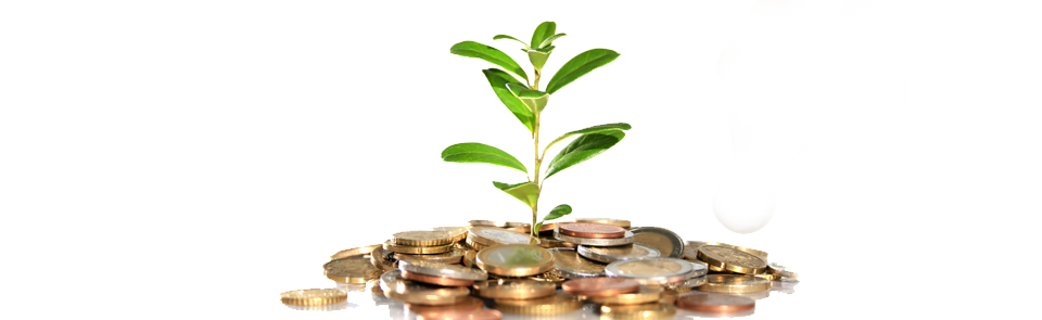 Money tree png.  for free download
