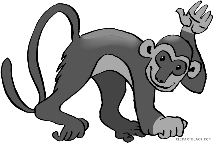 monkey clipart spider monkey