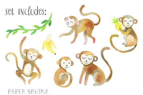 monkey clipart watercolor