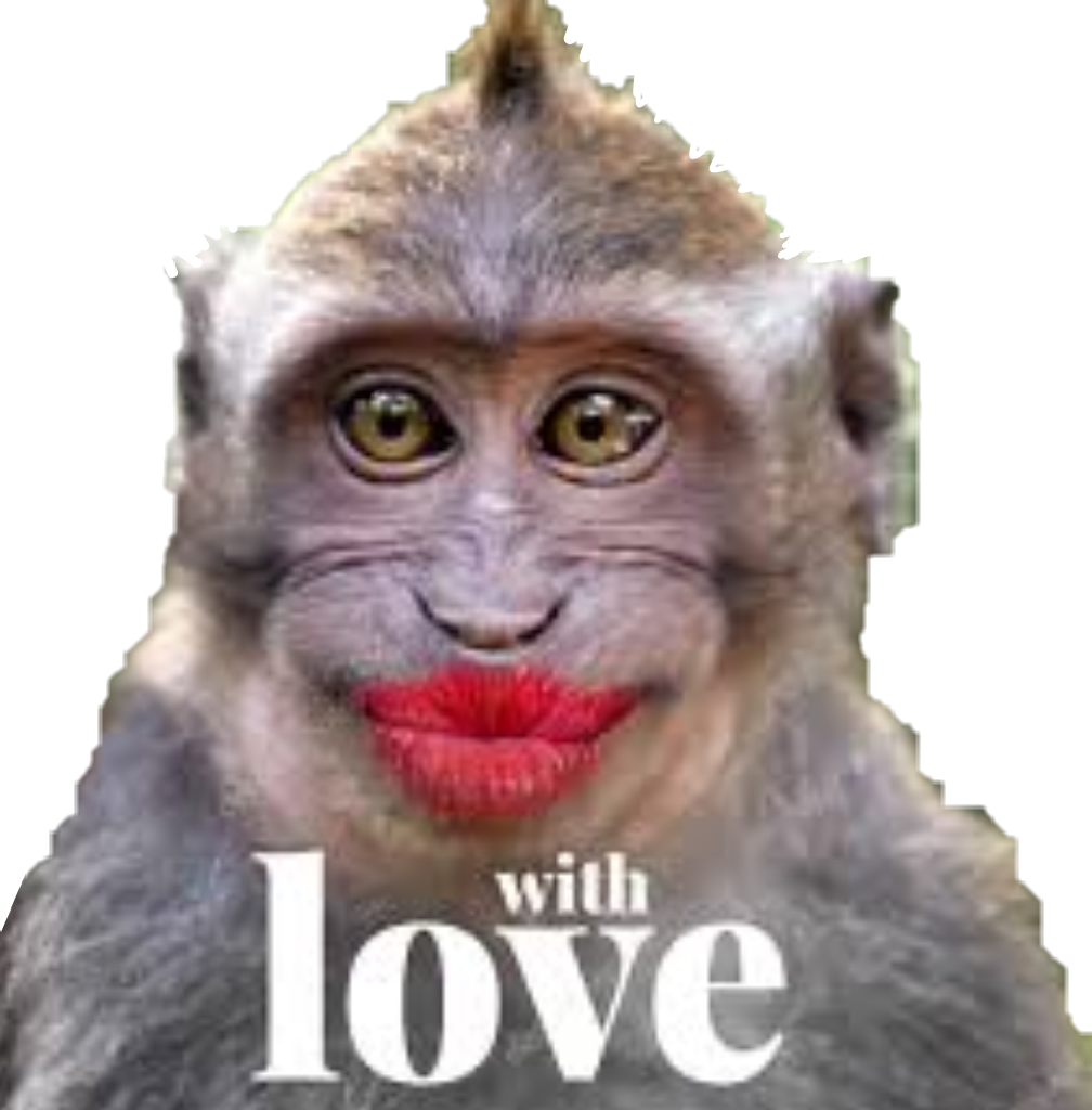 Kiss love funny funnymonkey. Monkeys clipart rhesus monkey