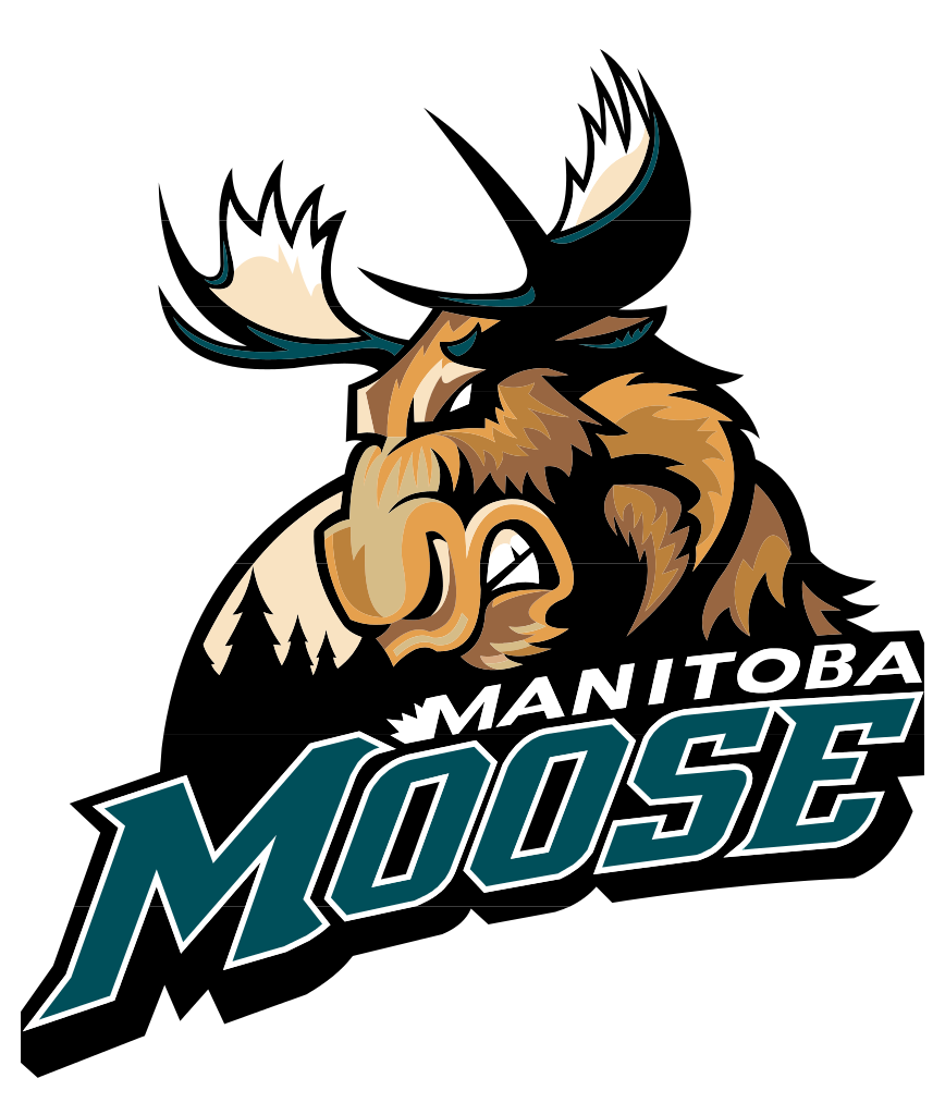 Moose angry
