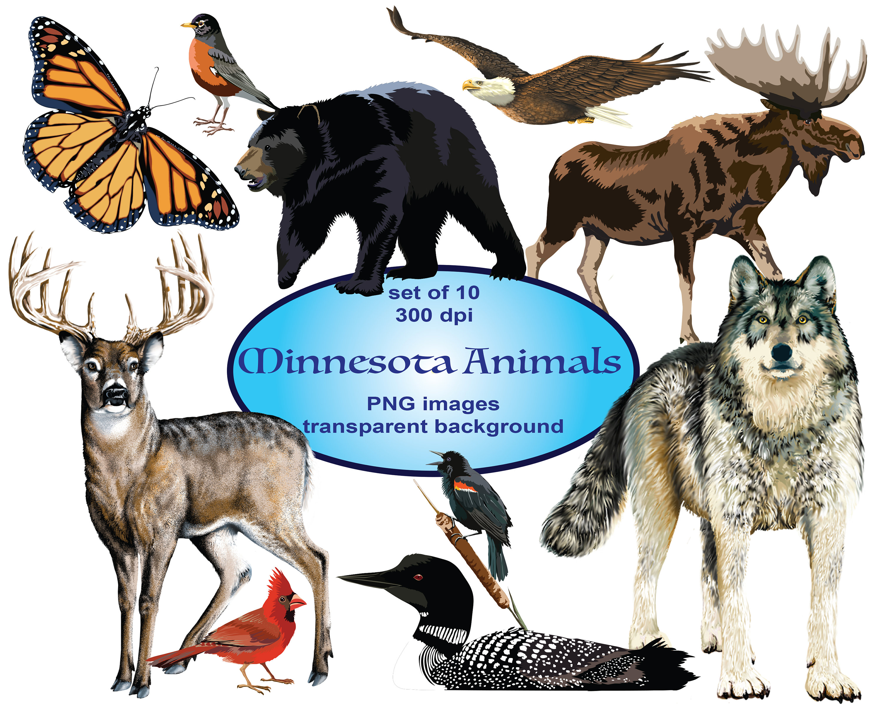 Moose clipart animal alaskan. Minnesota animals clip art