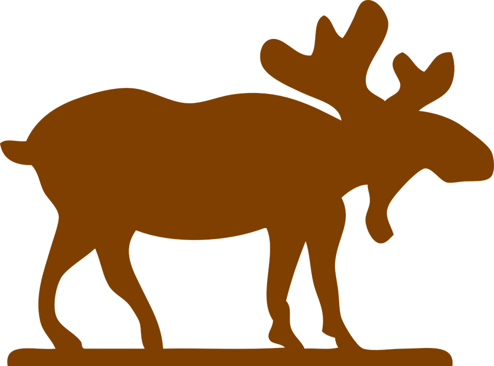 moose clipart animal canada