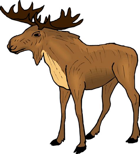 moose clipart color