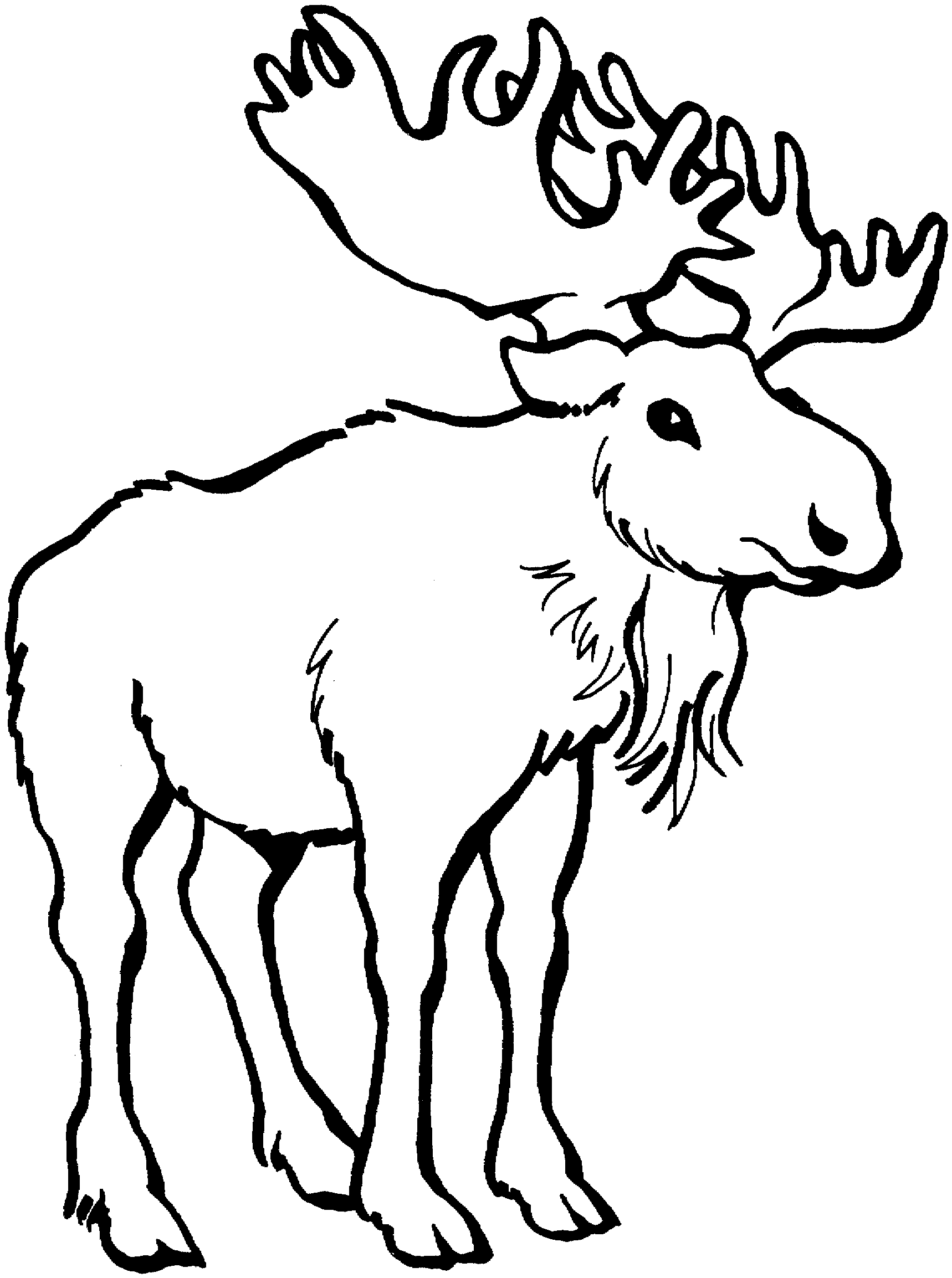 Moose clipart game wild. Free cliparts download clip
