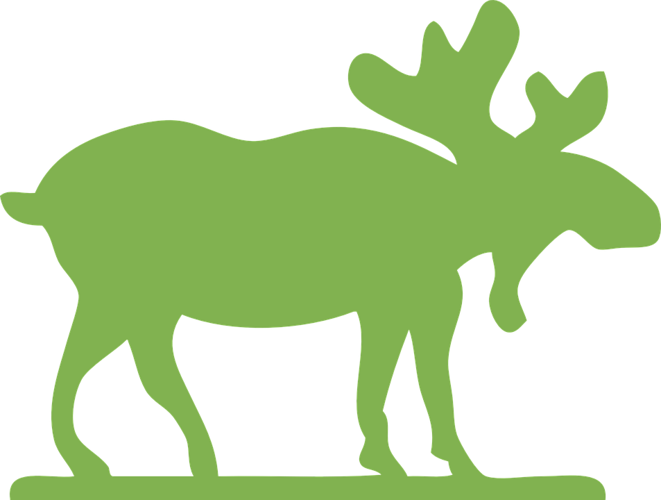 Moose clipart strong. Free color download clip