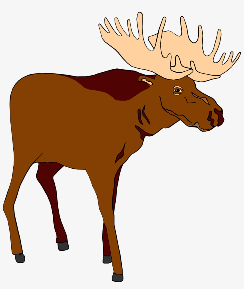 moose clipart transparent background