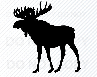 moose clipart vector