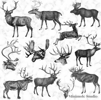 moose clipart vintage deer