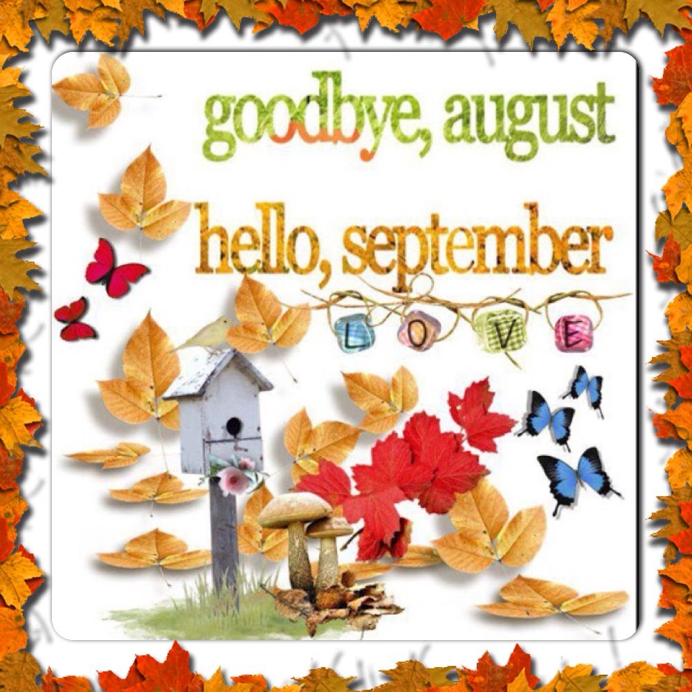 morning clipart august