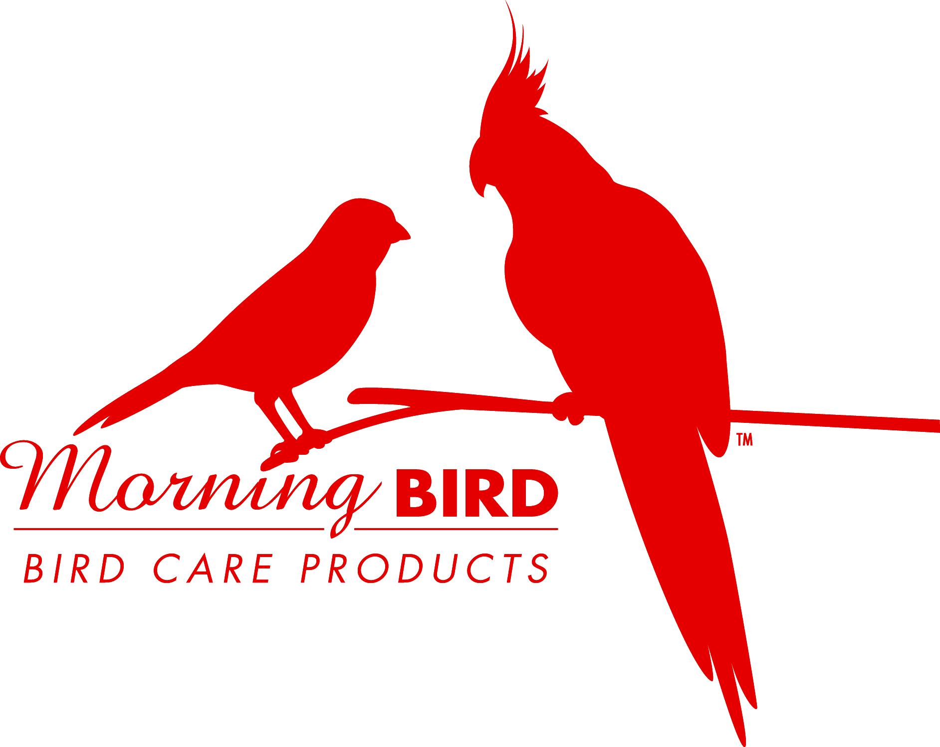 morning clipart morning bird