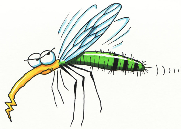Mosquito clipart. Know what is the