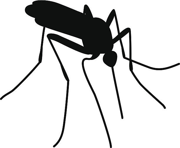 Black and white letters. Mosquito clipart