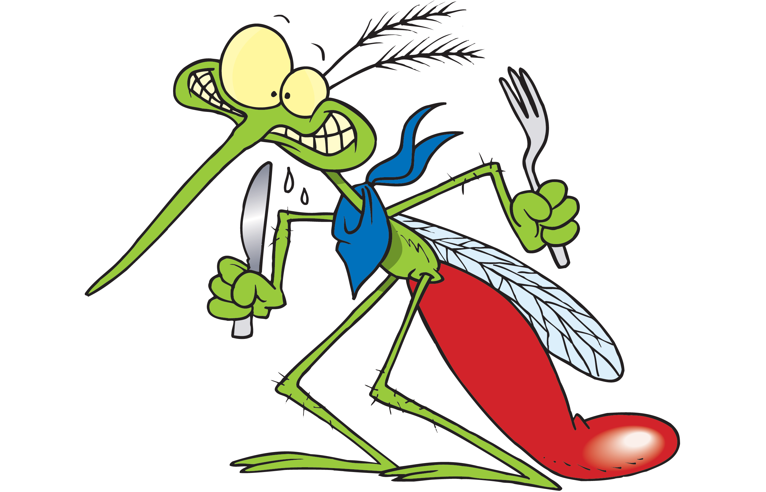 mosquito clipart angry
