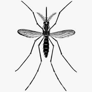 Free cliparts silhouettes cartoons. Mosquito clipart bothered