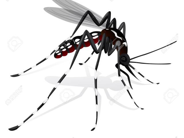Free download clip art. Mosquito clipart bothered