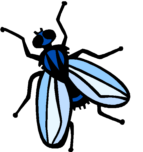 Black flies and such. Mosquito clipart bothered