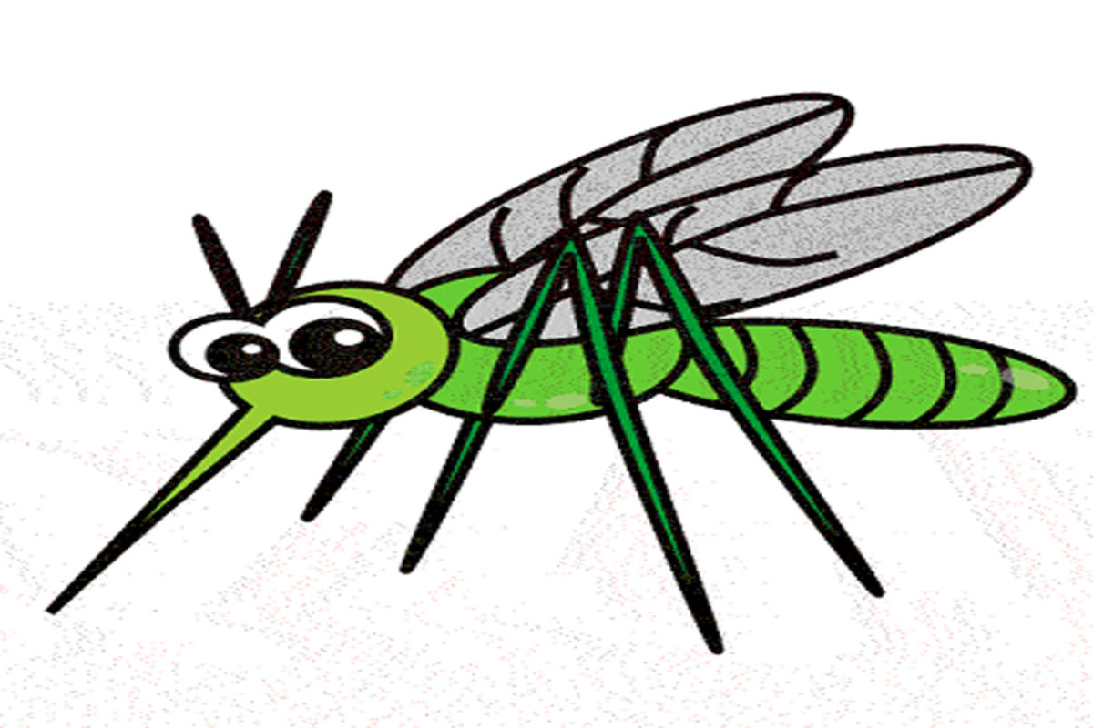 Mosquito clipart crazy. Have you ever wondered