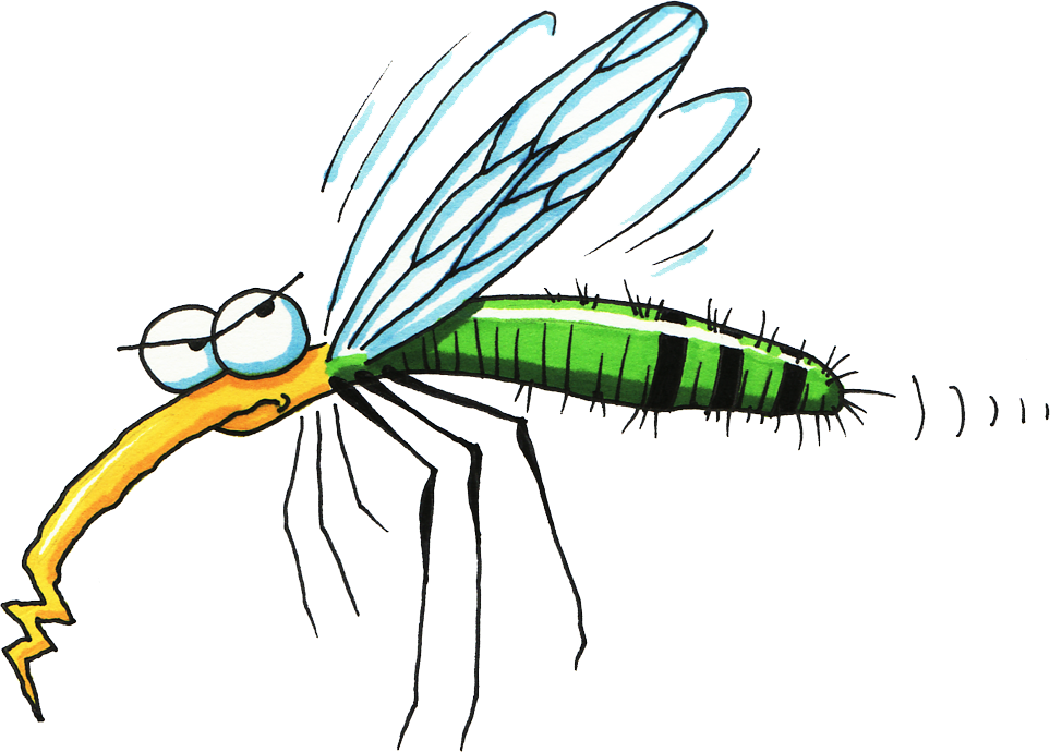 Mosquito clipart cute. Png pioneer natural insect