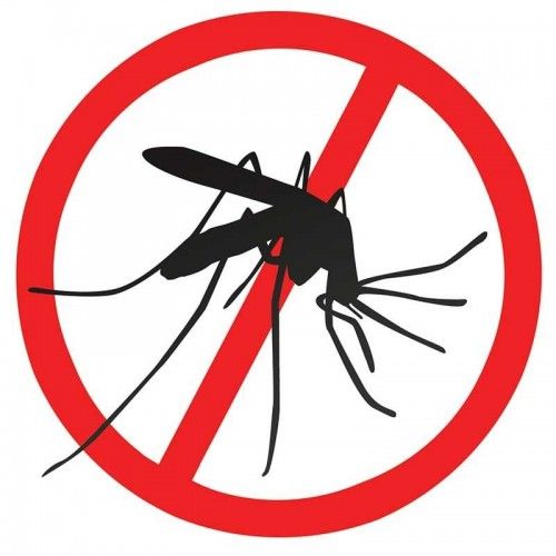 mosquito clipart dengue mosquito