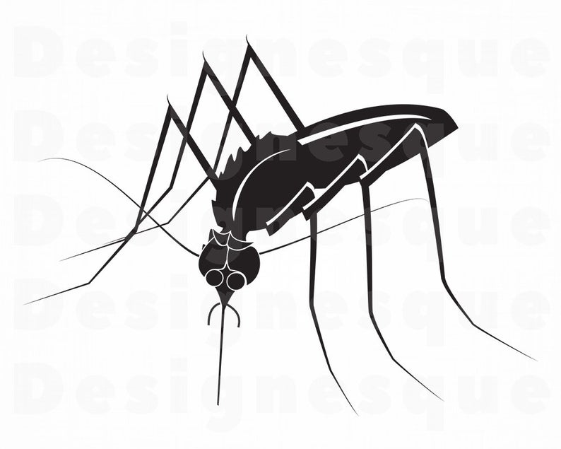 Mosquito clipart file. Svg insect files for