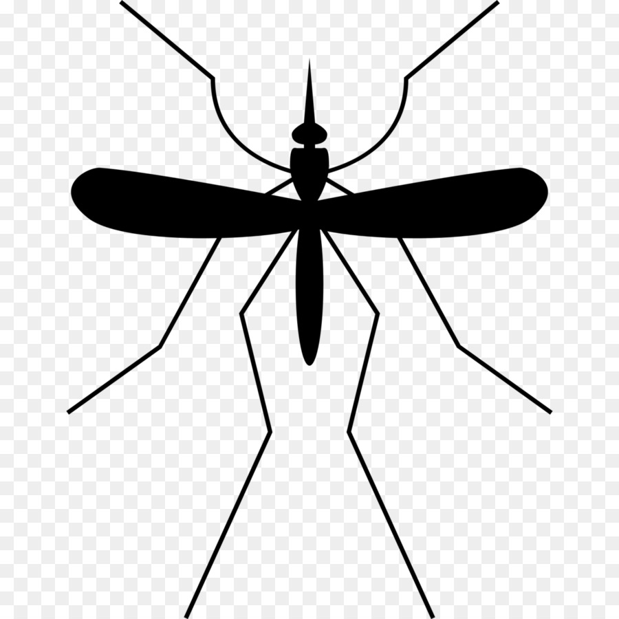 Insect png download free. Mosquito clipart gnat