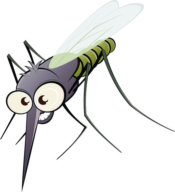 Cartoon free download best. Mosquito clipart happy