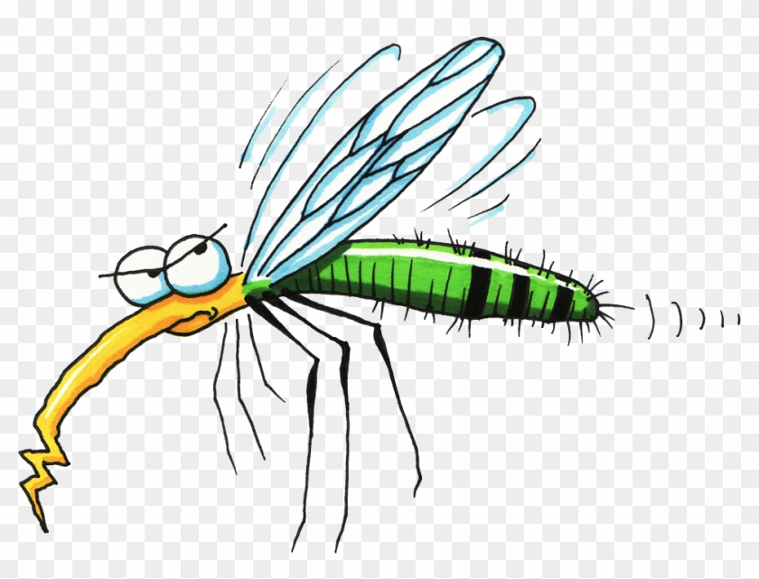Hd png download x. Mosquito clipart harm