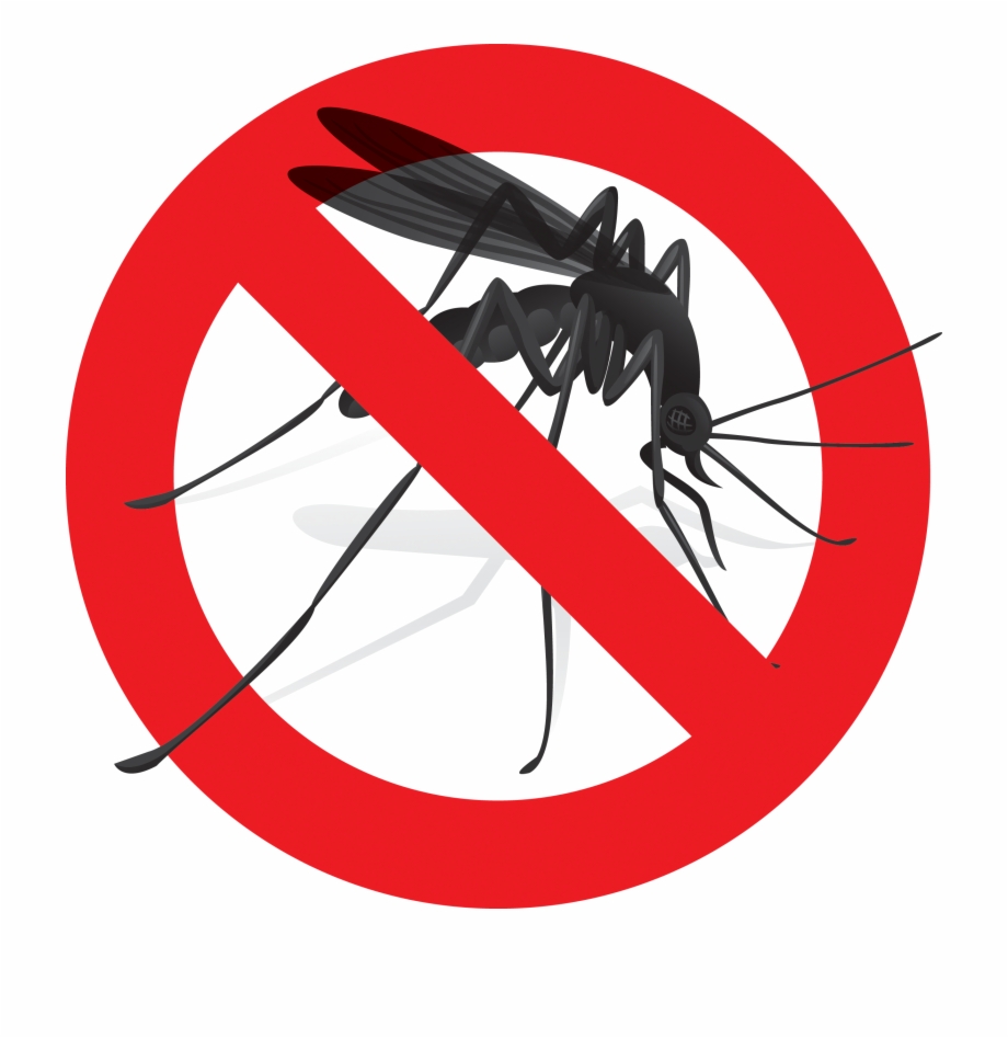 Mosquito clipart harm. Say no to zika